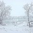 Snow-covered trees and bushes surrounding a calm river under a grey sky during an active snowfall